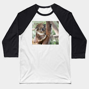 Koala bear in tree holding on Baseball T-Shirt